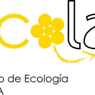 Timeline: Proyectos desarrollados en iecolab