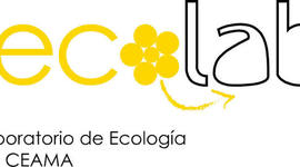 Timeline: Proyectos desarrollados en iecolab