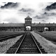 Auschwitz birkenau  ii b n   w by everona