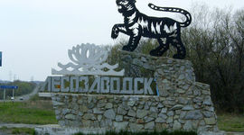 Timeline: Лесозаводск - наш город!