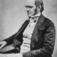 Charles darwin seated crop