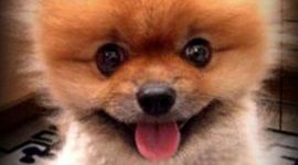 Timeline: Meeri portfoolio