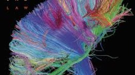 Timeline: Mattew Bellamy: Madness