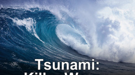 Timeline: Japans Tsunami