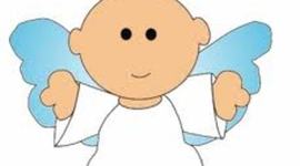 Timeline: fechas importantes