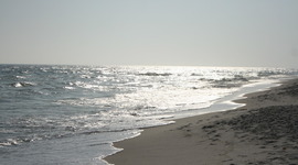 Timeline: La Vida de Mandy