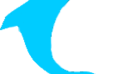 Timeline: Dolphins For Life