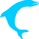 Wtcdolphin