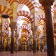 Mosque cordoba1