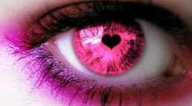 Timeline: fechas importantes