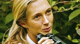 Timeline: Jane Goodall's Life