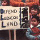 Lubicon