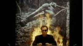 Timeline: The Fire Didn't Start With Us.