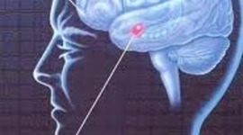 Timeline: Evolución histórica de la psicopedagogía