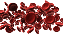 Timeline: History of Cellular Moshpit