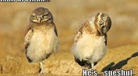 Timeline: Australian Timeline 1750-1918