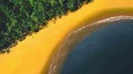 Timeline: História do Brasil