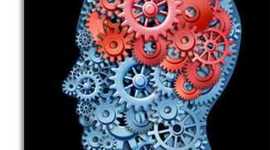 Timeline: History Of Psychology Timeline Lizz Bolton