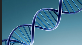 Timeline: The History and Discovery of DNA