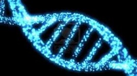 Timeline: History of the Dicovery of DNA