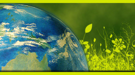 Timeline: ecologia timeline