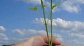 Timeline: Linea Del Tiempo De Ecologia