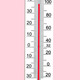 Photo thermometer