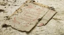 Timeline: Timeline Project