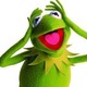 Kermit1
