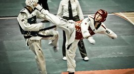 Timeline: 2012 In Review