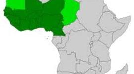 Timeline: Vineet West African Empires Pr7