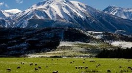 Timeline: New Zealand