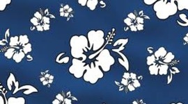 Timeline: Education from 1957-1965