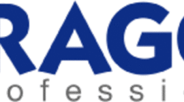 Timeline: The History of Paragon