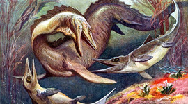 Timeline: Historical Geology