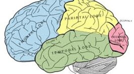 Timeline: Timelinw : Dallas Hubley