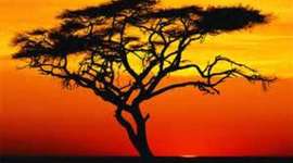 Timeline: African Empire Timeline By Hanna Brown