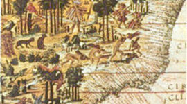 Timeline: Historia do brasil