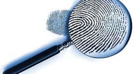 Timeline: career planning