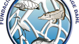 Timeline: HISTORIA FHGD