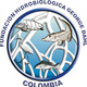 Logo (1)
