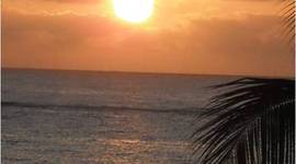 Timeline: Martitario_linea de vida