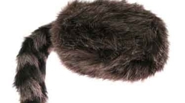 Timeline: Westward Expansion