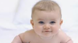 Timeline: Fetal Devolopment