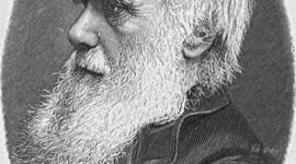 Timeline: Charles Darwin