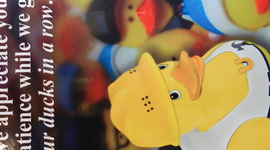 Timeline: Ducky Timeline