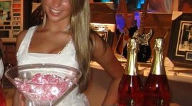 Timeline: La Vida de Danielle Beaudette