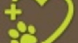 Timeline: Career Path