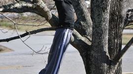 Timeline: Landon's Life