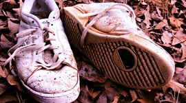 Timeline: Seven Wonders of My Life...so far...